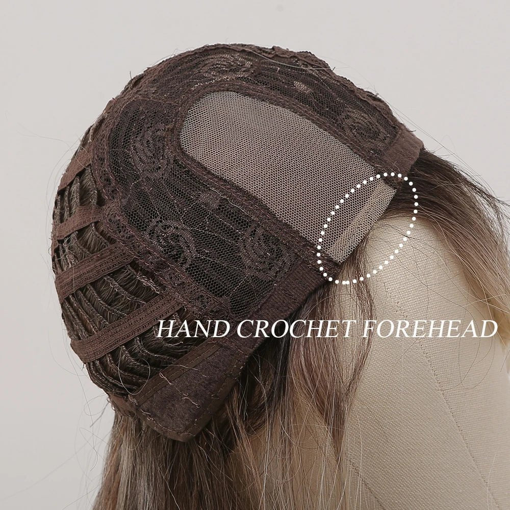 Brown Blonde Balayage Lace Front Wig - HairNjoy