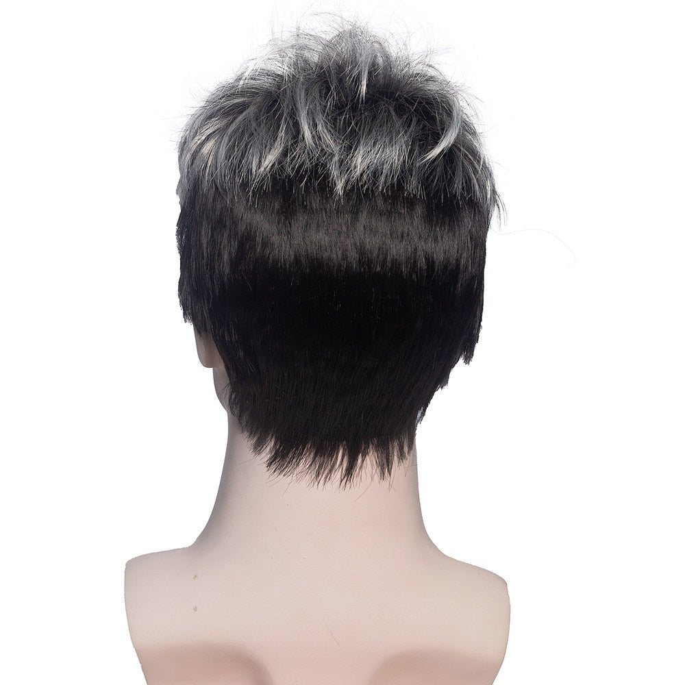 Short Straight Wigs for Men with Bangs - HairNjoy