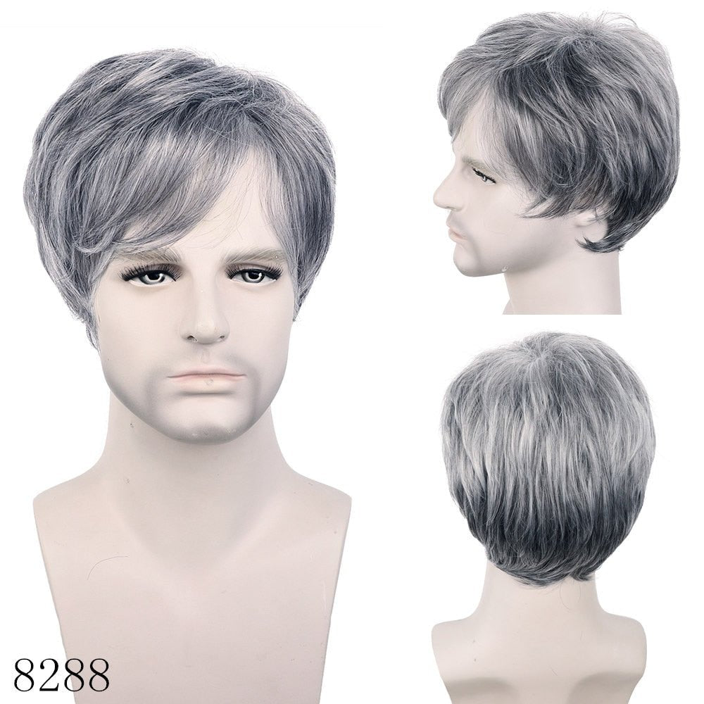 Short Straight Wigs for Men with Bangs - HairNjoy