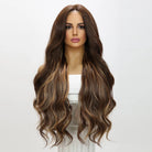 Brown Mixed Blonde Lace Front Wig - HairNjoy