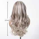 Gray White Highlight Lace Wig - HairNjoy