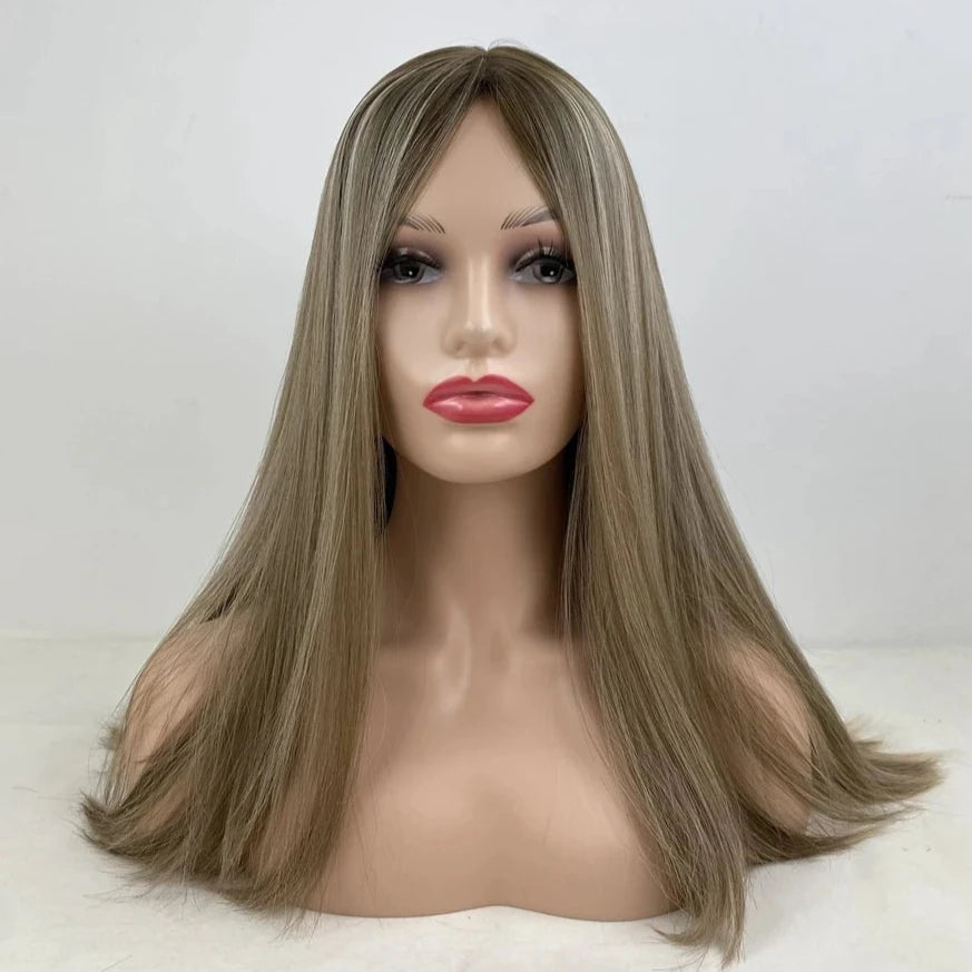 Highlighted Straight Silk Wig - HairNjoy