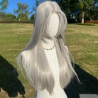 Long Straight Silver Wig With Bangs - HairNjoy